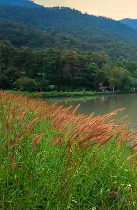 揭秘反差黑料：51cg吃瓜网的热门播放内容